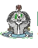 National Library of Nigeria logo